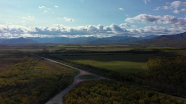 Koyu renkli bir araba, güneşli bir yaz gününde asfalt bir yolda uçsuz bucaksız ormanı geçiyor..