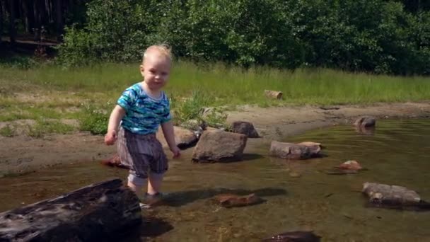 Niño Pequeño Camina Sobre Agua Lago Del Bosque Día Soleado — Vídeos de Stock