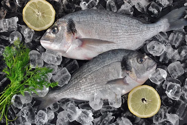 Peixe Fresco Cubos Gelo Dorado Fresco Dourado Bream Cubos Gelo — Fotografia de Stock