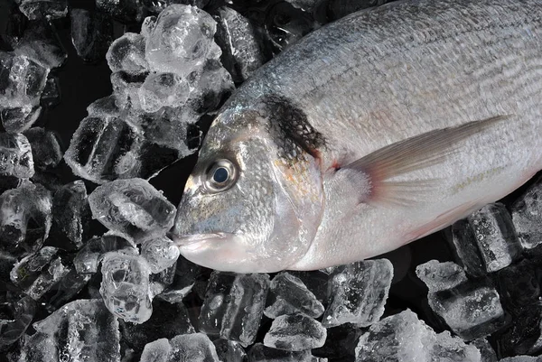 氷に新鮮な魚 氷と黒の背景の新鮮なシイラや鯛鯛 — ストック写真