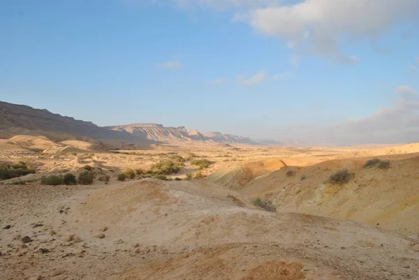 Пустынный Пейзаж Рассвете Пешеходная Пустыня Часть Национального Пути Израиля Пустыня — стоковое фото