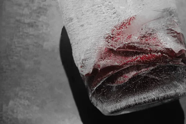 Красивые Замороженные Цветы Блоке Льда Абстракция — стоковое фото