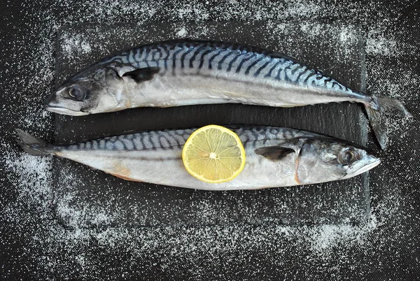 Mackerel Não Cozido Mesa Preta Com Limão Ervas — Fotografia de Stock