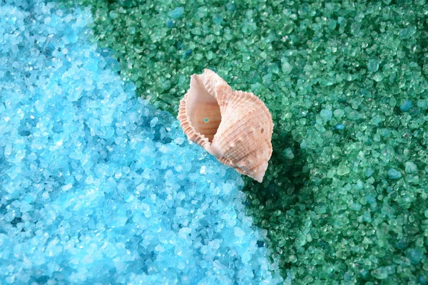 Sea shell on the colorful salt  background.   Colorful aromatic bath salt. Dead Sea Salt. Sea cosmetics. Natural ingredients for homemade body salt scrub. Skin care spa treatment beauty and health care concept