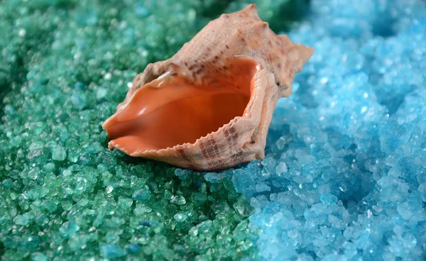 Sea Shell Färgglada Salt Bakgrunden Färgglada Aromatiska Badsalt Dead Sea — Stockfoto