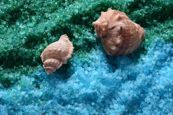 Concha Mar Fundo Sal Colorido Sal Banho Aromático Colorido Sal — Fotografia de Stock