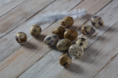 Taze bıldırcın yumurtası. Sağlıklı diyet gıda