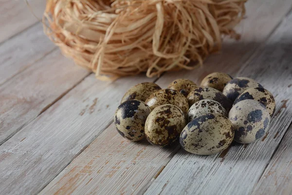 Ovos Codorniz Frescos Alimentação Saudável — Fotografia de Stock