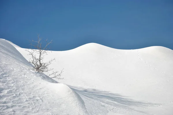 Mount Hermon Med Snö Skidorten Israel — Stockfoto