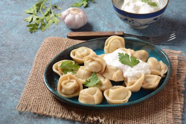 Ekşi kremalı ve taze maydanozlu ev yapımı etli börek. Geleneksel Rus yemeği, pelmeni, ravioli.