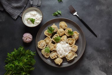 Ekşi kremalı ve taze maydanozlu ev yapımı etli börek. Geleneksel Rus yemeği, pelmeni, ravioli.