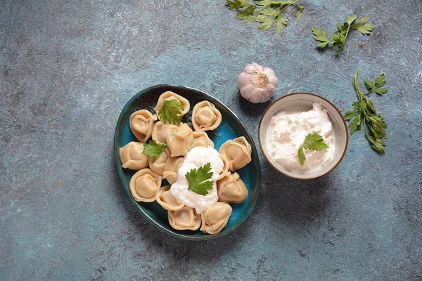 Caseiro Carne Bolinhos Servidos Com Creme Leite Salsa Fresca Prato — Fotografia de Stock