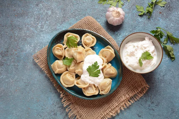 Caseiro Carne Bolinhos Servidos Com Creme Leite Salsa Fresca Prato — Fotografia de Stock