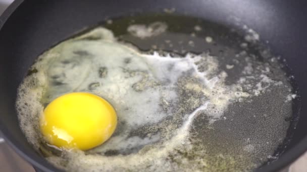 Chicken Egg Frying Butter Fraying Pan — Stock Video
