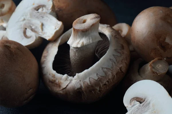 黑色背景的新鲜香菇 — 图库照片