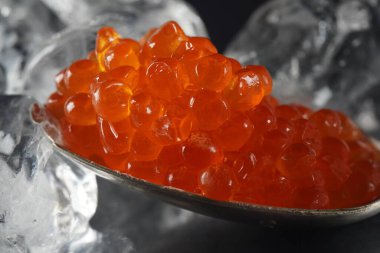 Kırmızı havyar ve buz kaplı bir kaşık. Yakın plan somon havyarı. Lezzetli