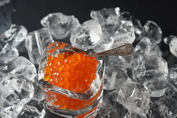 Red Caviar Spoon Ice Background Close Salmon Caviar Delicatessen — Stock Photo, Image