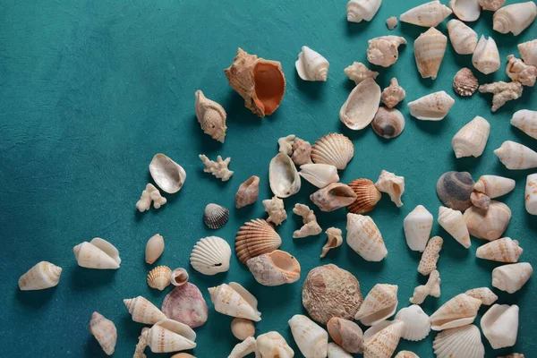 Muscheln Auf Einem Meereswellenhintergrund Sommerferienkonzept Raum Für Den Text — Stockfoto