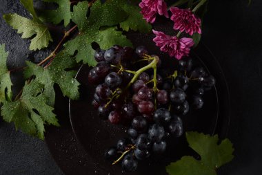 Siyah arkaplanda yaprakları olan koyu mavi / siyah üzümler. 