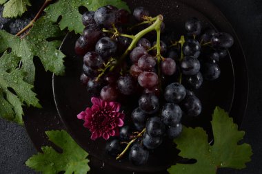 Siyah arkaplanda yaprakları olan koyu mavi / siyah üzümler. 