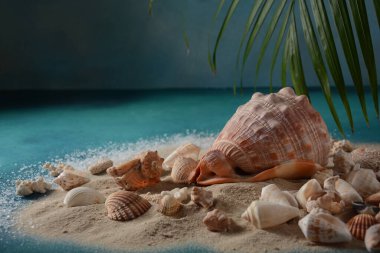 Deniz kabukları deniz dalgası renginde ve kumlu. Yaz tatili kavramı.