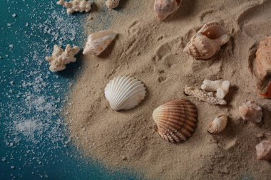 Deniz kabukları deniz dalgası renginde ve kumlu. Yaz tatili kavramı.