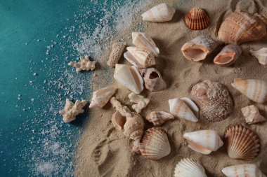 Deniz kabukları deniz dalgası renginde ve kumlu. Yaz tatili kavramı.