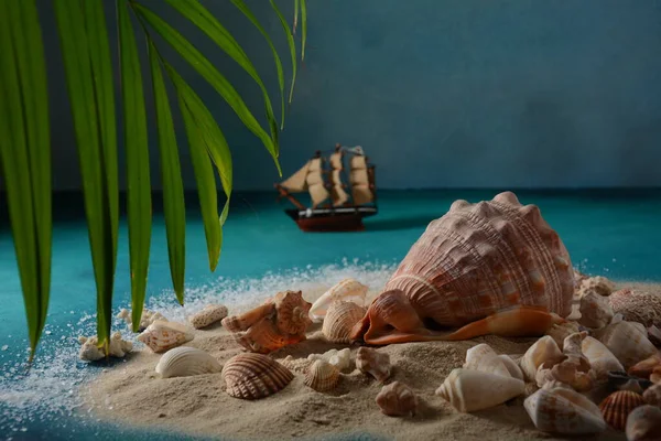 Sea shells on a sea wave color background with sand. Summer vacation concept.