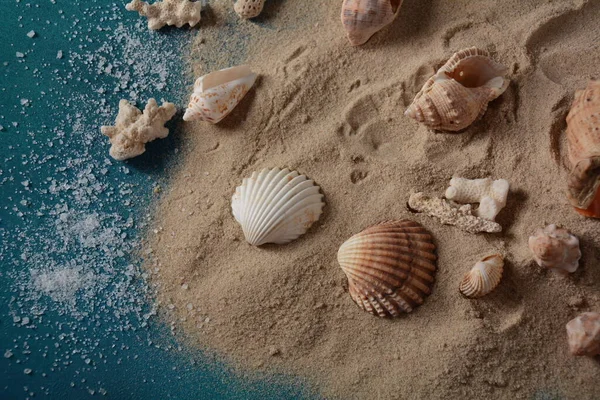 Deniz kabukları deniz dalgası renginde ve kumlu. Yaz tatili kavramı.