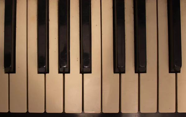 Een Muzikant Speelt Piano Muzikant Componist Raakt Piano Toetsen Met — Stockfoto