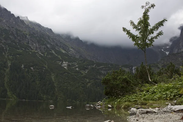Polacco Montagne Tatra Morskie Oko Lago — Foto Stock