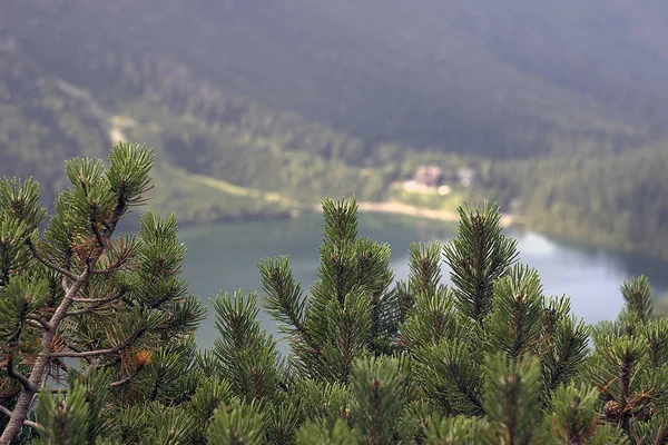 Polish Tatra Mountains Morskie Oko Lake — Stock Photo, Image