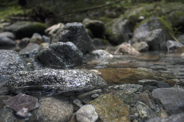 Través Del Agua Clara Pueden Ver Las Piedras Agua Manantial — Foto de Stock