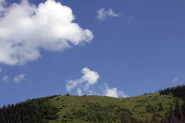 Hills Green Grass Blue Sky White Puffy Clouds — Stock Photo, Image