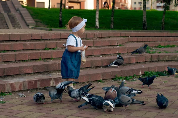 Niña de 18 meses, con una camiseta blanca, un mono de mezclilla, un borde blanco corriendo cerca de palomas, persiguiendo palomas. Bebé alimenta palomas con mijo amarillo de una bolsa en un parque de la ciudad — Foto de Stock