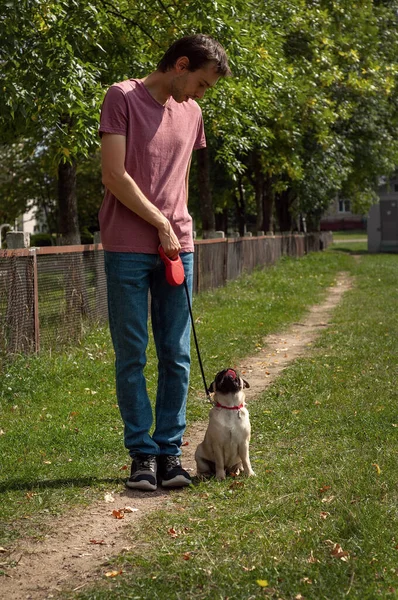 Seorang pria berbaju T-shirt, celana jeans dan sepatu olahraga melatih anjing pug-nya untuk tim — Stok Foto