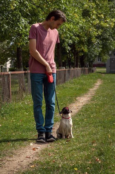 Un hombre en una camiseta, jeans y zapatillas de deporte entrena a su cachorro de pug para el equipo — Foto de Stock