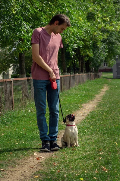 Un hombre en una camiseta, jeans y zapatillas de deporte entrena a su cachorro de pug para el equipo — Foto de Stock