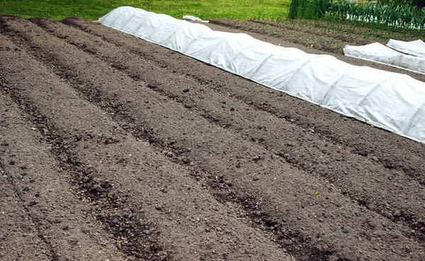 Furrows in a prepared almost empty vegetable garden in springtime. Vitamins healthy biological homegrown spring organic