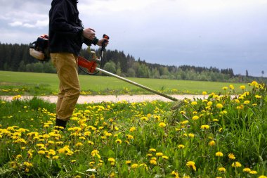 Bahçıvan bir el çim biçme makinesi ile sarı karahindiba biçer. kırpıcıyı kapat, seçici odak
