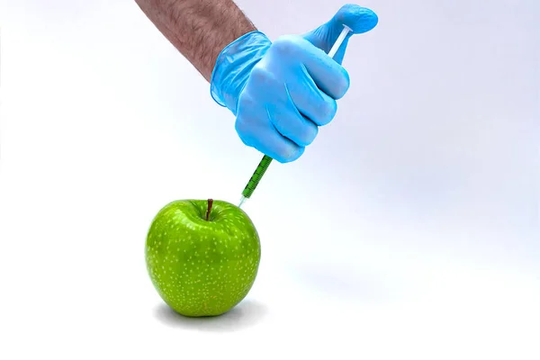재배자는 주사기로 사과에 염산을 주사하여 장기적으로 과일을 저장하는 기다린다 유전적으로 — 스톡 사진