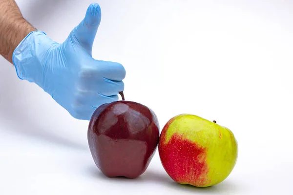 장갑을 사과를 생물성과 보겠다고 유전적으로 음식이지 배경에 — 스톡 사진
