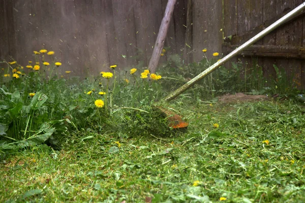 Der Gärtner Mäht Mit Einem Handrasenmäher Das Gras Mit Gelben — Stockfoto