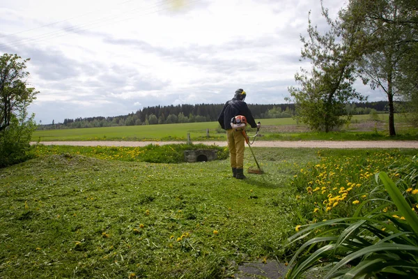 Der Gärtner Mäht Mit Einem Handrasenmäher Das Gras Mit Gelben — Stockfoto