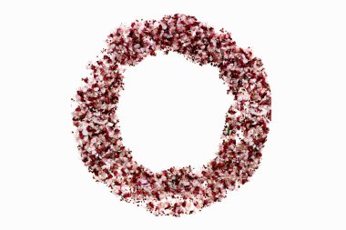 Beyaz arka planda izole edilmiş kurumuş sakura yapraklarından oluşan bir daire.