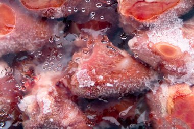 Kuş sakatatı, bağırsak, mide, kalp. Çiğ pişmemiş tavuk hindi taşlıkları..