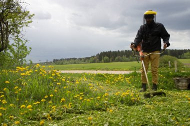 Bahçıvan bir el çim biçme makinesi ile sarı karahindiba biçer. Eller budayıcı, seçici odaklanma