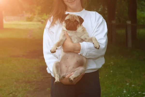 귀여운 강아지를 여성의 공원에서 주인의 스러운 동물과 입양에 — 스톡 사진