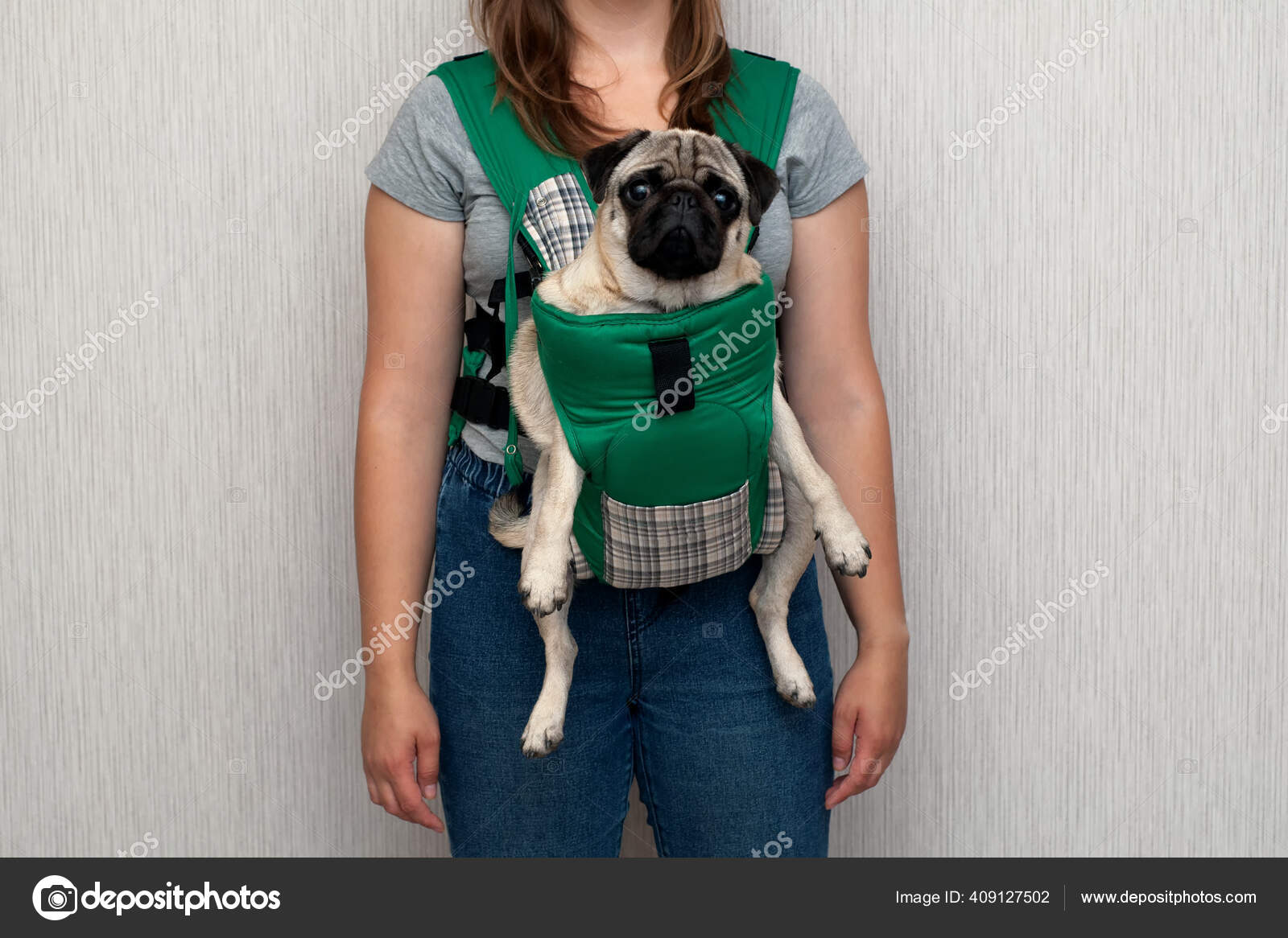 강아지 강아지는 강아지 캐리어 Babycarrier 캥거루 캐리어 Sling Manger Carrier — 스톡 사진 ©  Kallihora #409127502, image size:1600x1166