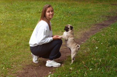 Kadınlar ve güzel köpekler arasındaki tokalaşma - Çak bir beşlik - dışarıda yürürken kız köpekler arasındaki takım çalışması